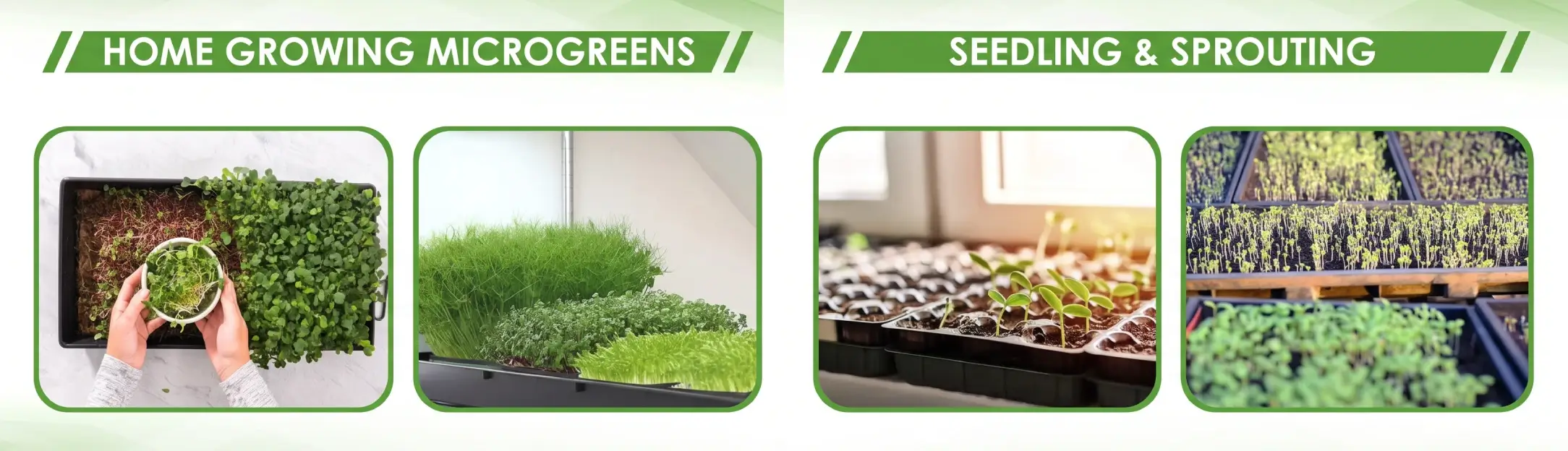 1020 plant propagation trays case