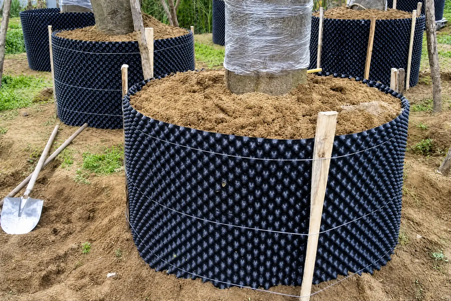 Heavy duty air pruning root control sheet wrapped around large tree for transplanting