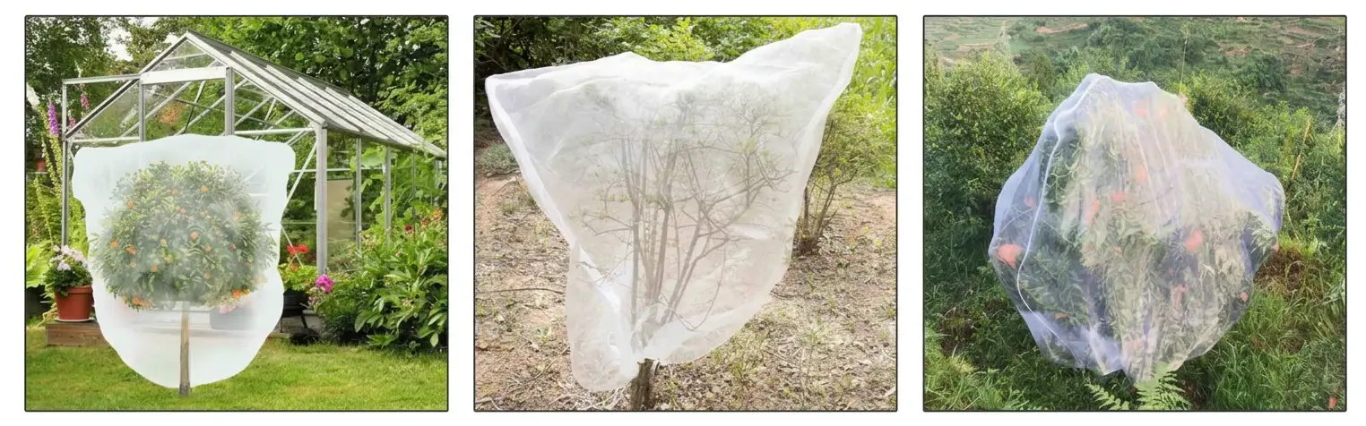 Anti-Insect & Frost Protection Bags Case Presentation