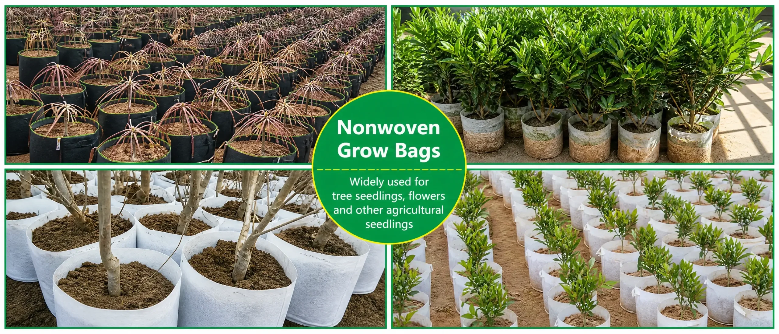 Modern Commercial Growers Choose Fabric Grow Bags