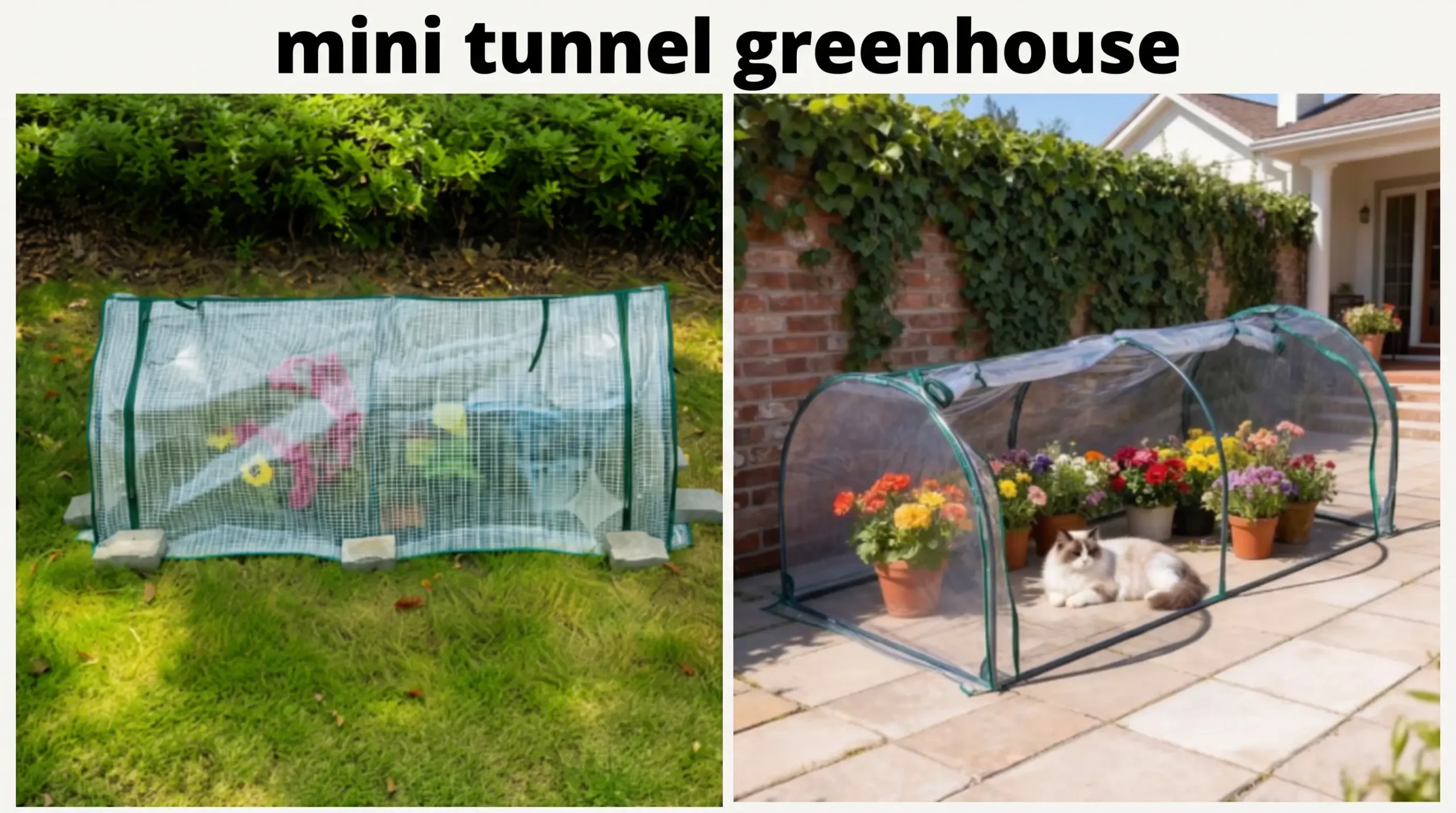 Portable mini tunnel greenhouse with clear PVC and green PE cover options
