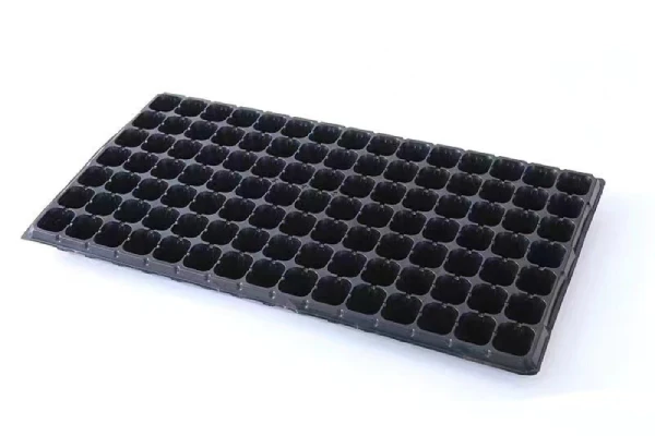Seeding Plug Trays