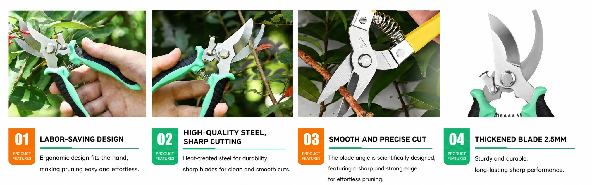 Steps for Pruning with Pruning Shears