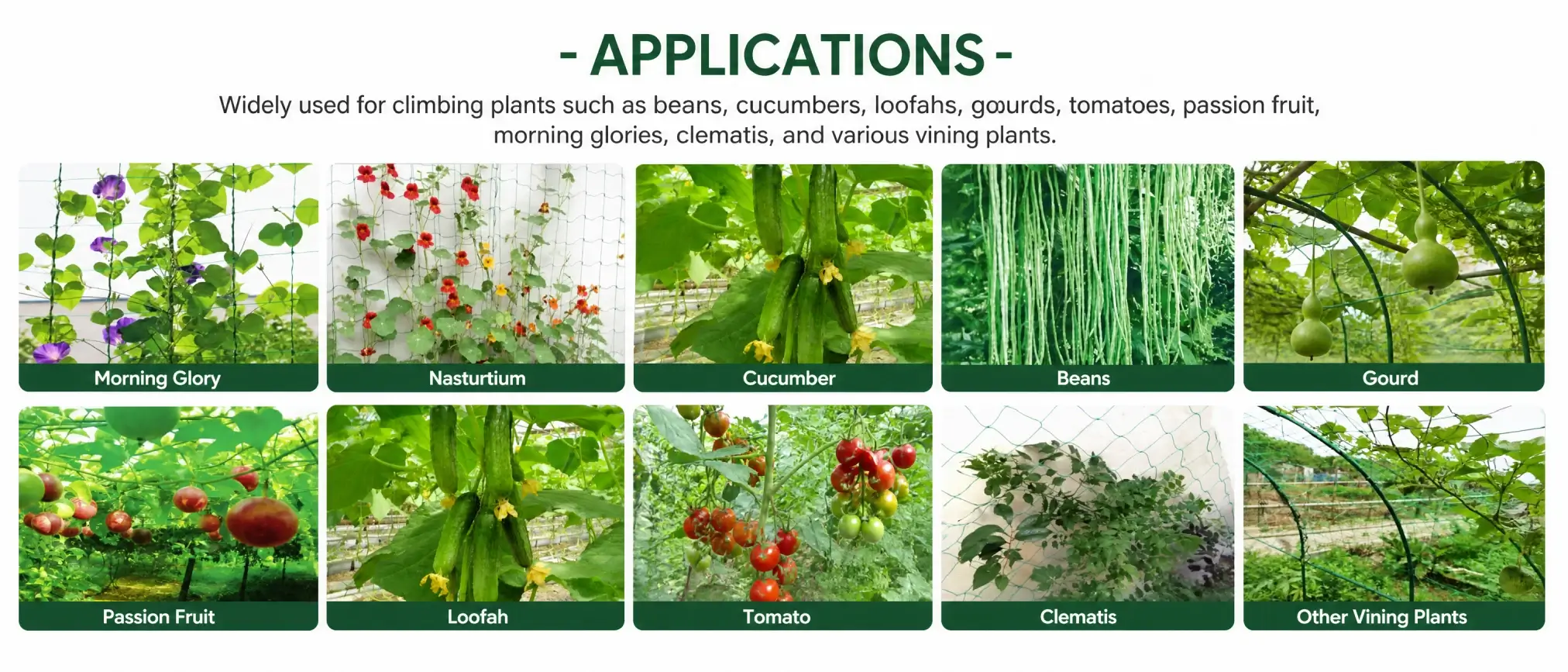 Heavy-Duty Garden Trellis Netting applications